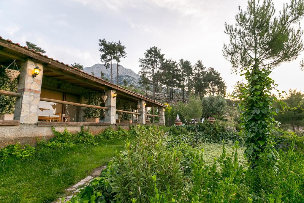 Olympos Mountain Lodge Beycik Zewnętrze zdjęcie