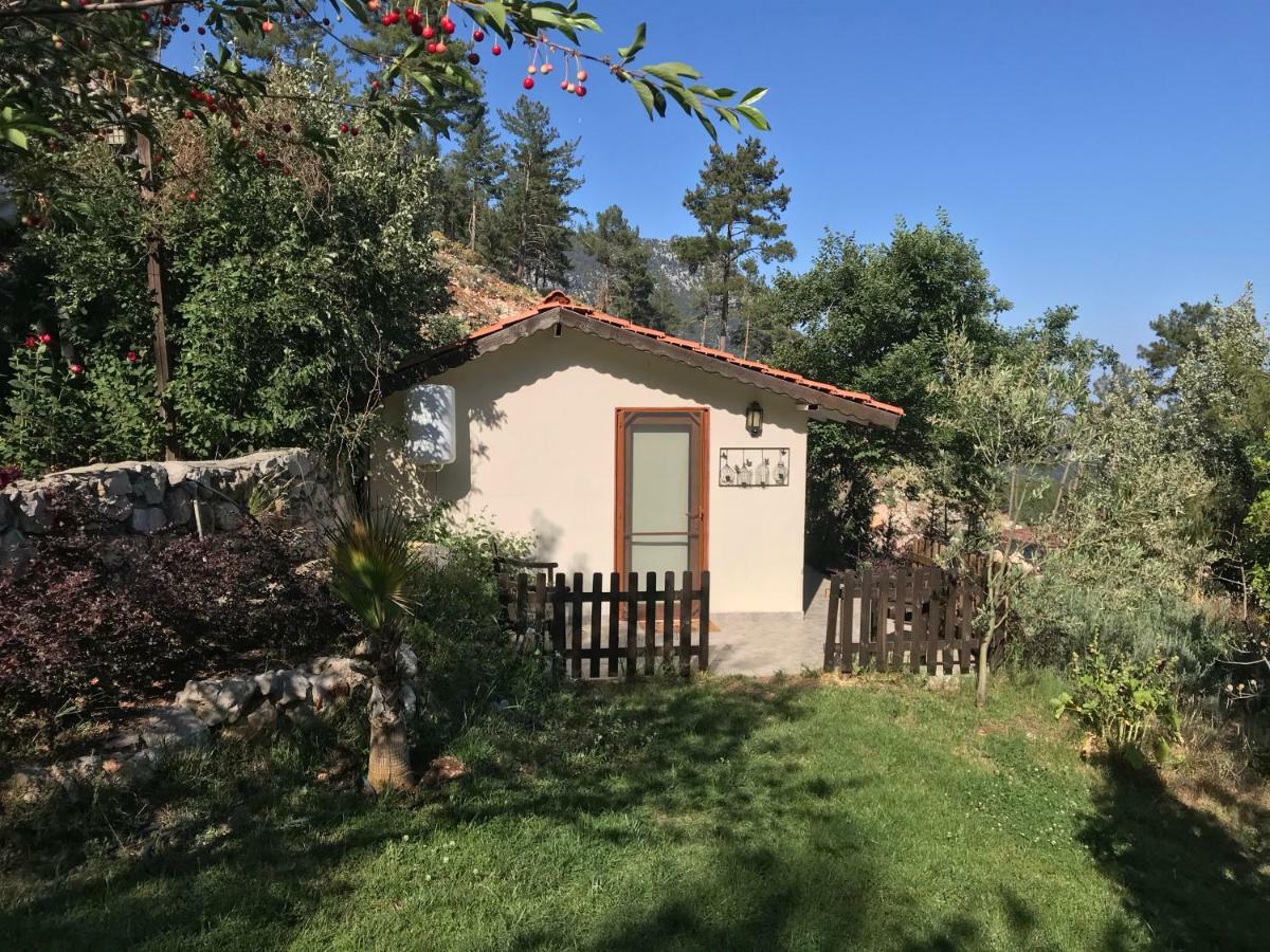 Olympos Mountain Lodge Beycik Zewnętrze zdjęcie